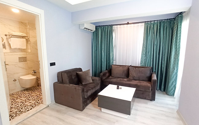 Standart Şehir Manzaralı detail